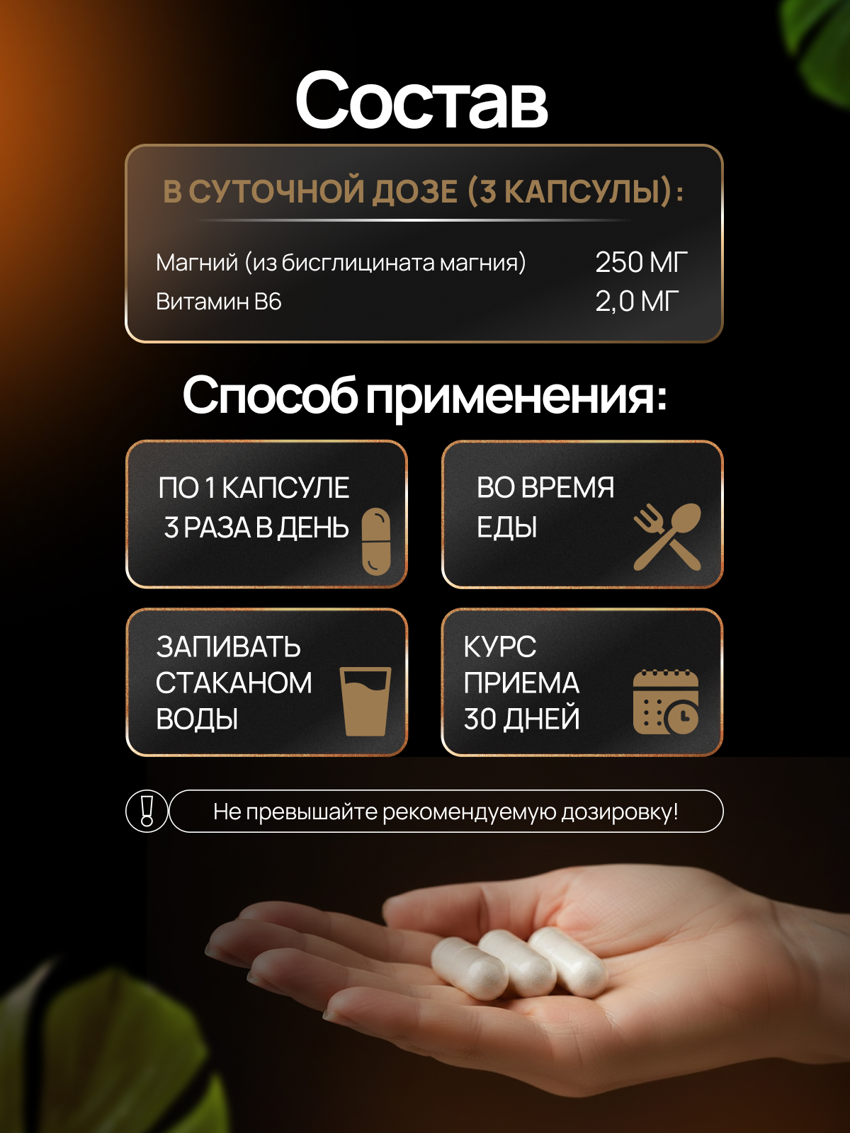 BioTechUSA Magnesium Bisglycinate 90 капс.