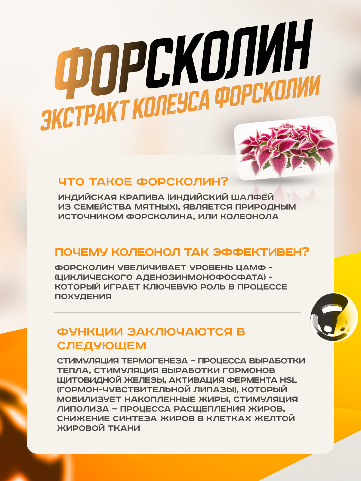 Scitec Nutrition Myofactor 285 г