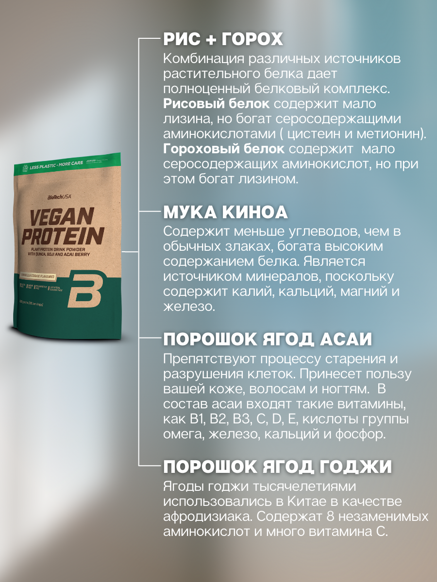 BioTechUSA Vegan Protein 500 г.