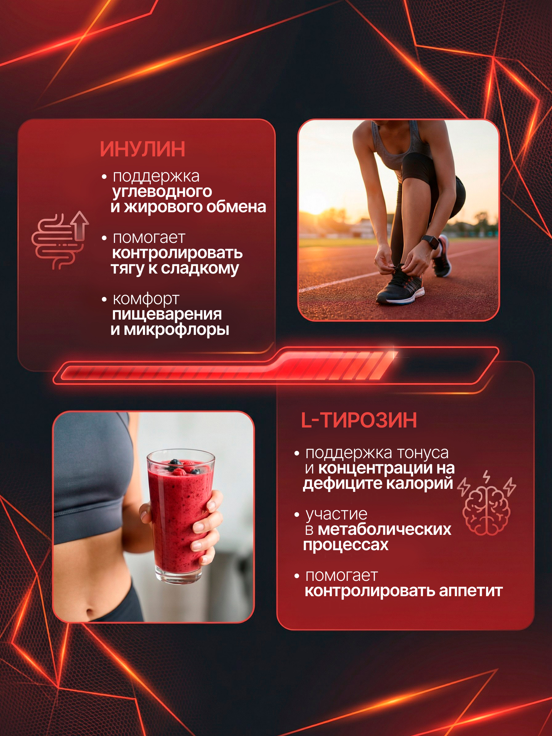 BioTechUSA Fat-X 60 т.