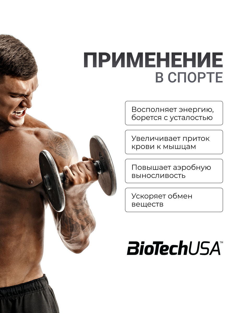 BioTechUSA Ginkgo Biloba 90 т.