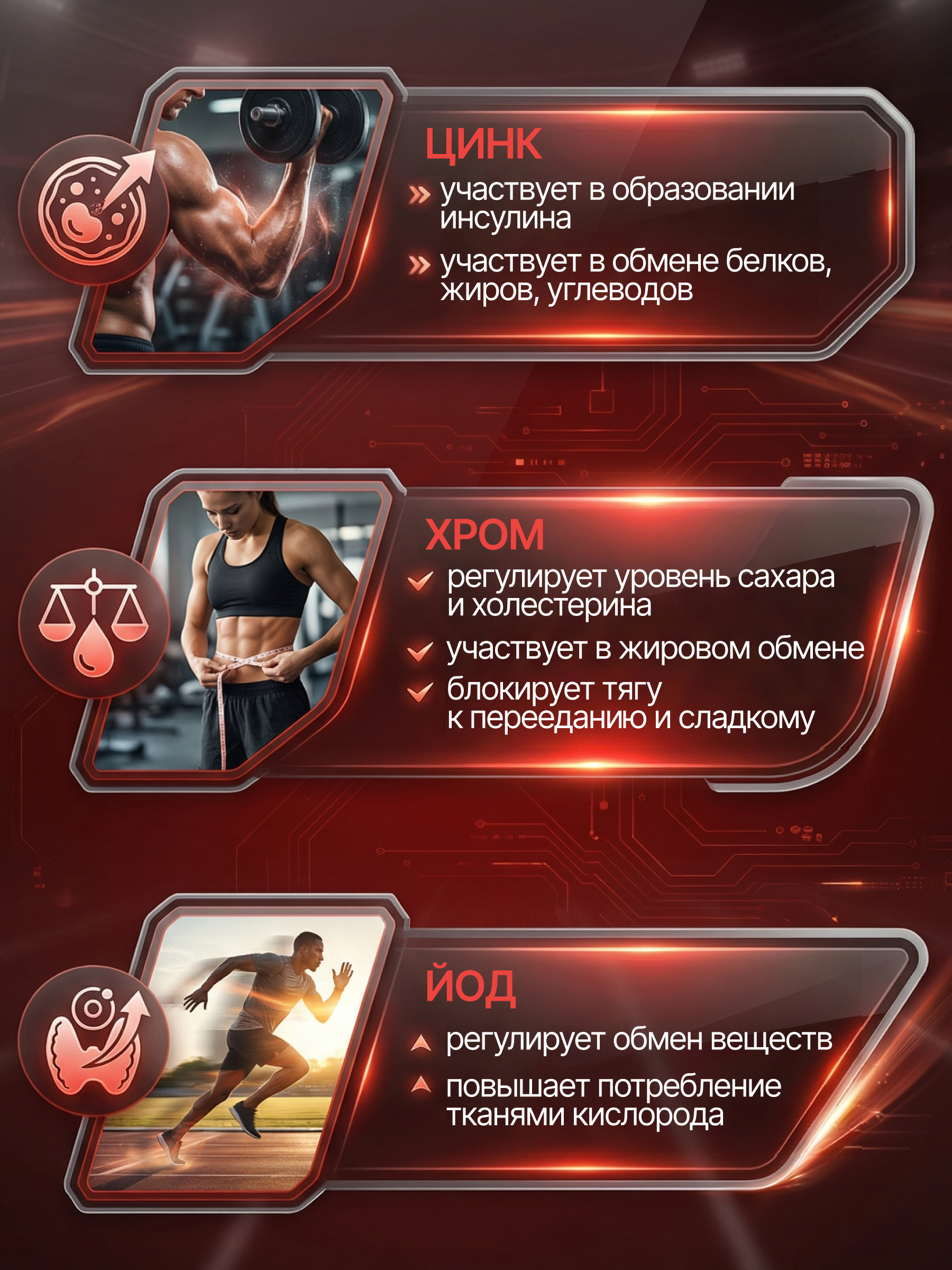 BioTechUSA Fat-X 60 т.