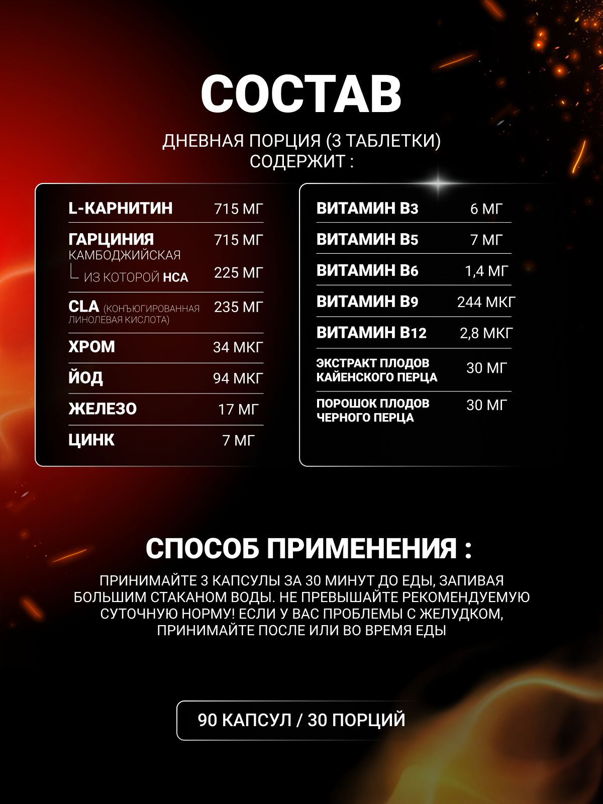 BioTechUSA Mega Burner 90 к.