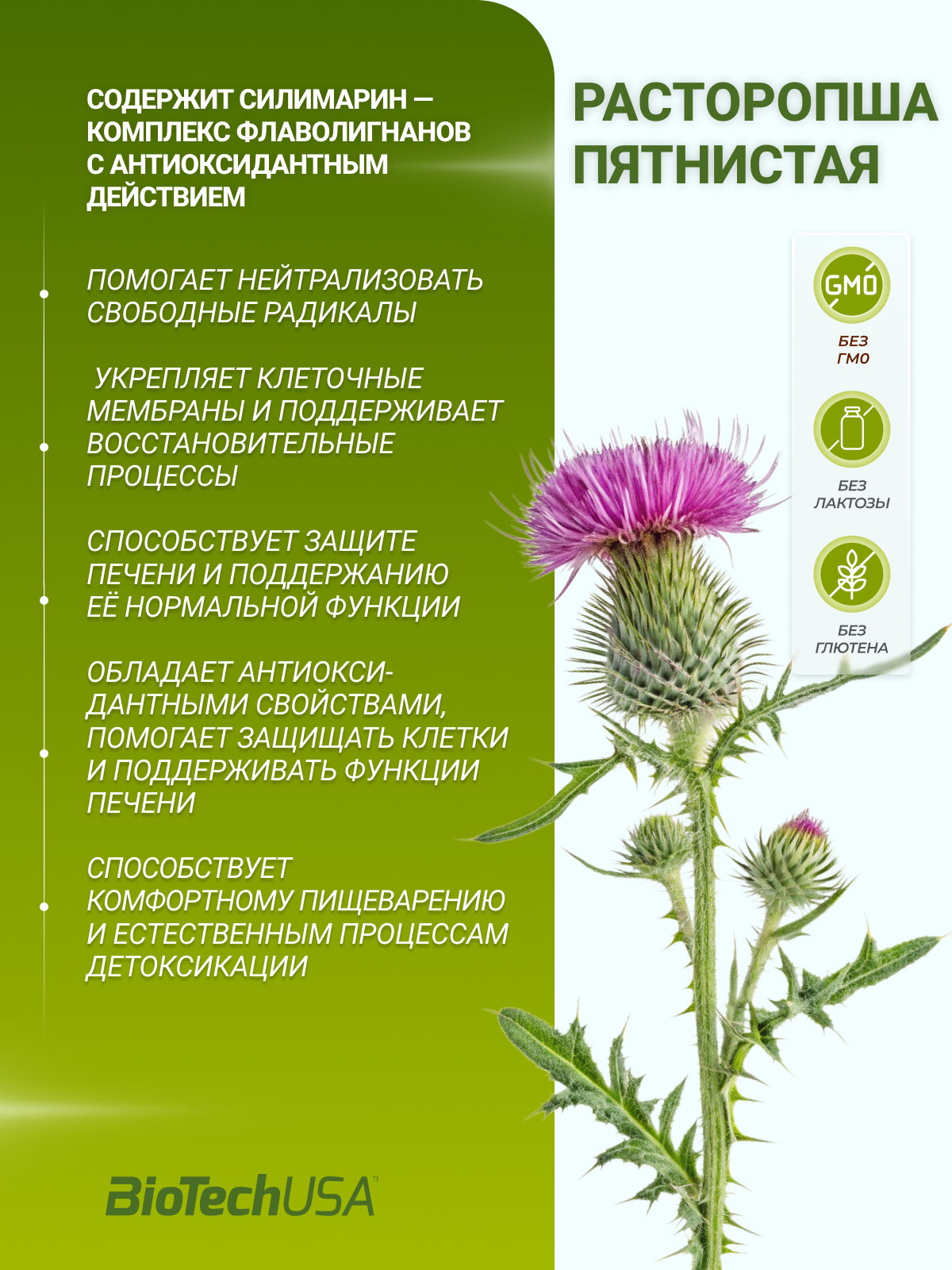 BioTechUSA Milk Thistle 60 к.