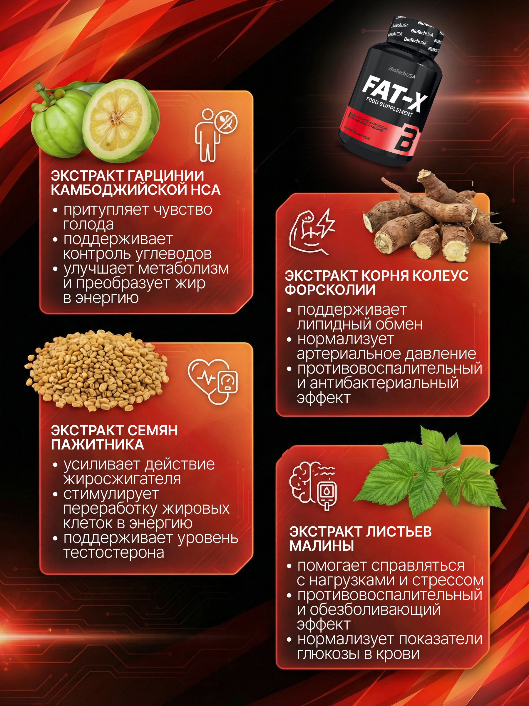 BioTechUSA Fat-X 60 т.