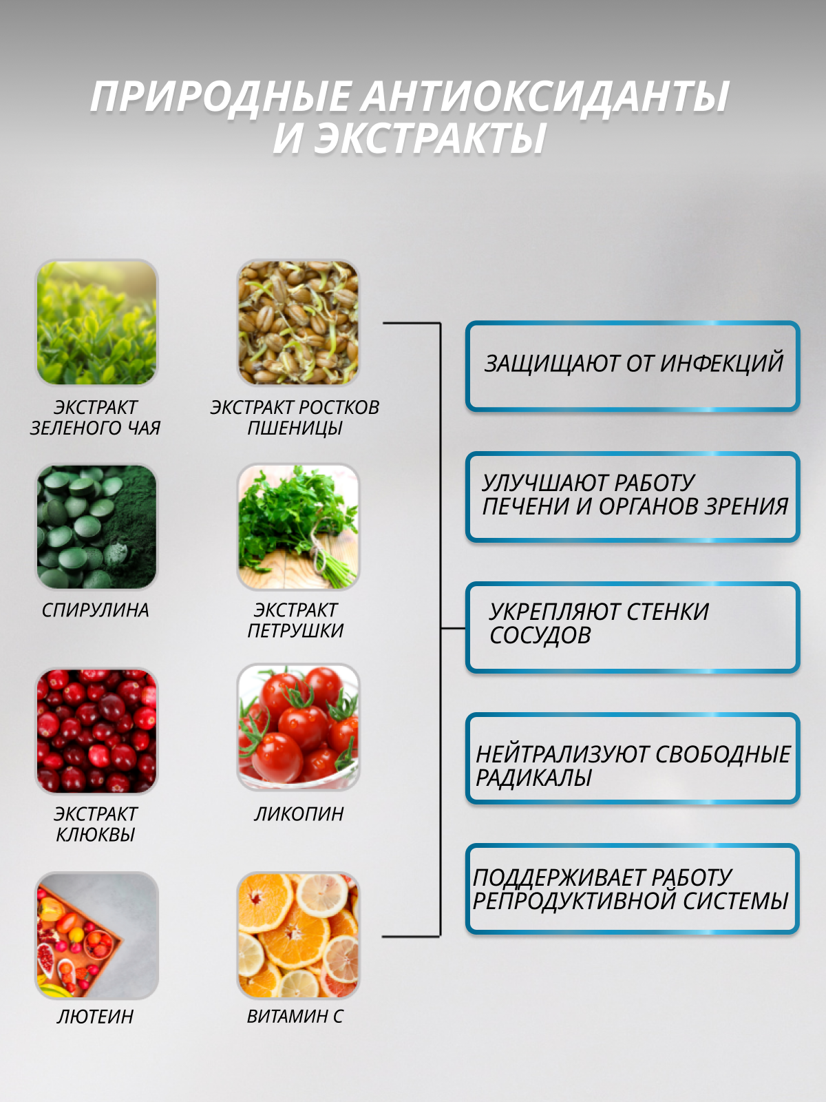 BioTechUSA Multivitamin For Men 60 т.