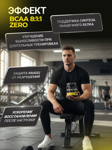 BioTechUSA BCAA 8:1:1 Zero 250 г.