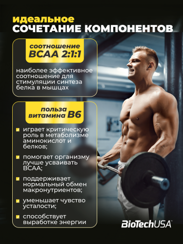 BioTechUSA BCAA+В6 100 т.