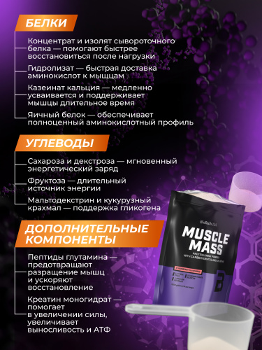 BioTechUSA Muscle Mass 1000 г. (Клубника)