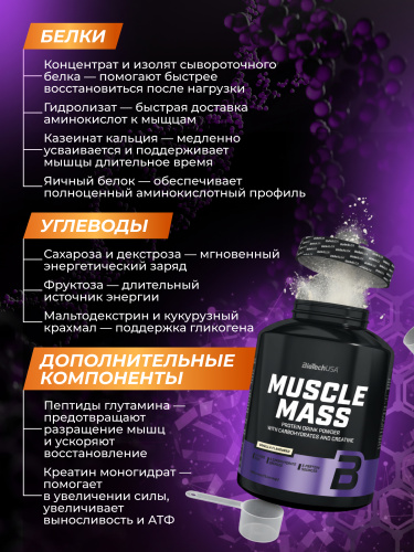 BioTechUSA Muscle Mass 4000 г. (Ваниль)