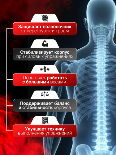 BiotechUSA Fitness velcro belt (Пояс для тренировок с текстильной застежкой)