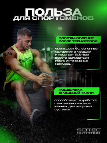 Scitec Nutrition Mega MSM 100 капс.