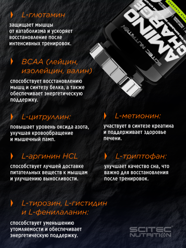Scitec Nutrition Amino Charge 570 г (Абрикос)
