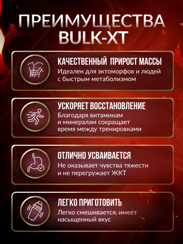 Genius Nutrition Bulk-XT 4000 г.